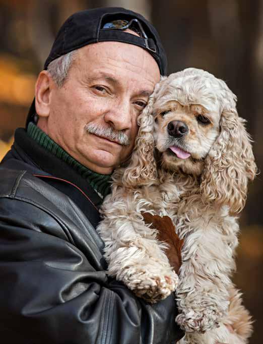 Rasta hunden och tvätta fönster vardagsaktivitet för en god hälsa ARBETSTERAPI OCH