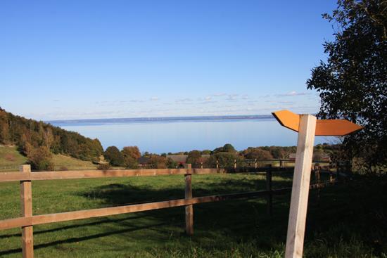 Båstad Dag 2 Båstad Hovs hallar Du lämnar boendet och vandrar längs havet genom Båstad.