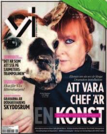 EFFEKT är ett samhällsmagasin om