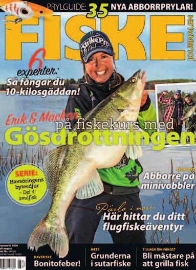 hälsa, träning och rapporter från