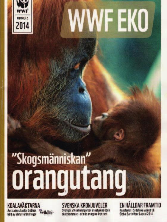 Djur och Natur KATTLIV är tidningen
