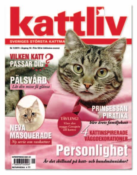 mer om katter!