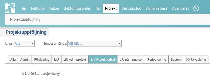Hur skapar man en projektkalkyl?