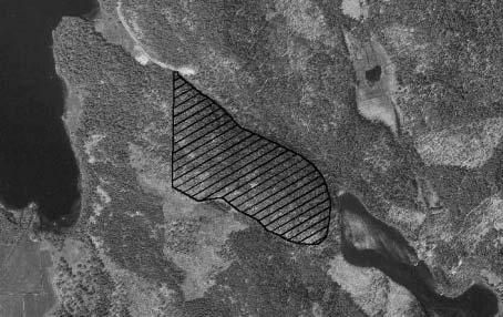 B. PLANDEL 1 Disposition och skötsel av mark Fig. 3. Översikt över 3 km SO om samhället Horn i Kinda kommun mellan sjöarna Bolen i väster och Bogöl i öster. Reservatet består av ett skötselområde.