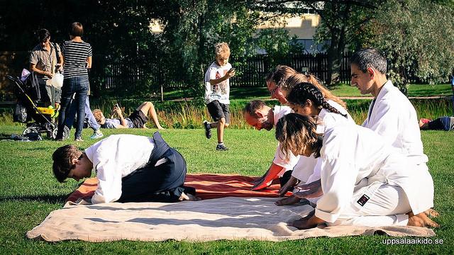 Uppvisningar Under året har vi haft flera aikidouppvisningar.