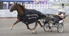 RÖNNINGSHOLMS BRYN 2680:1 27,7 M 27,2 AM 30,4 L Total: 56 8-3-6 280.700 Ro 9 12,br.v.e Järvsöfaks - 19: 3 0-0-1 28,9 12.700 18: 7 0-0-1 27,7 14.