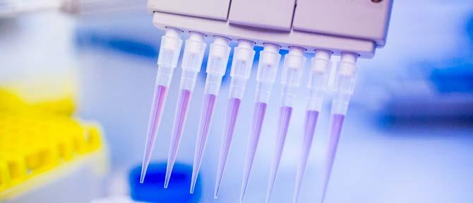 Vi fortsätter vår resa mot nya effektiva läkemedel för behandling av Alzheimers sjukdom Finansiell information första kvartalet 2019 Tal inom parentes avser motsvarande period föregående år.