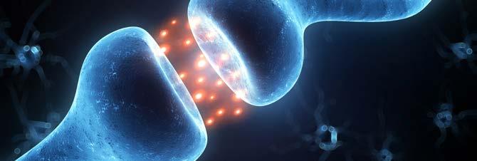PROJEKTUTVECKLING AlzeCure Pharma arbetar aktivt med forskning och utveckling av nya, innovativa och effektiva läkemedel inom hjärnans sjukdomar med ett primärt fokus på Alzheimers sjukdom.