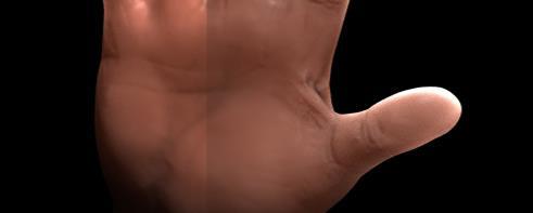 Alla weight attribut är en multiplicerare till varje diffus färg som Diffuse Color, Front SSS Color och Back SSS Color. Därmed är det petigt att få en övertygande subsurface scattering effekt.