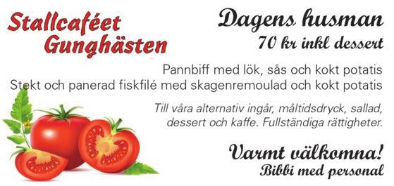 Ingwersen T & Horntvedt S H Hul Ma r /-k / k,7 gdk - Äg: Ingwersen Tone, m fl Hul Ma F /- / n,6 6 7' c c Vit/blå/grå -delad,blå/grå rev; blå Hul Ma F /- /, Cc 7' r Hultman Marcus (Ing To) a Hul Ma F