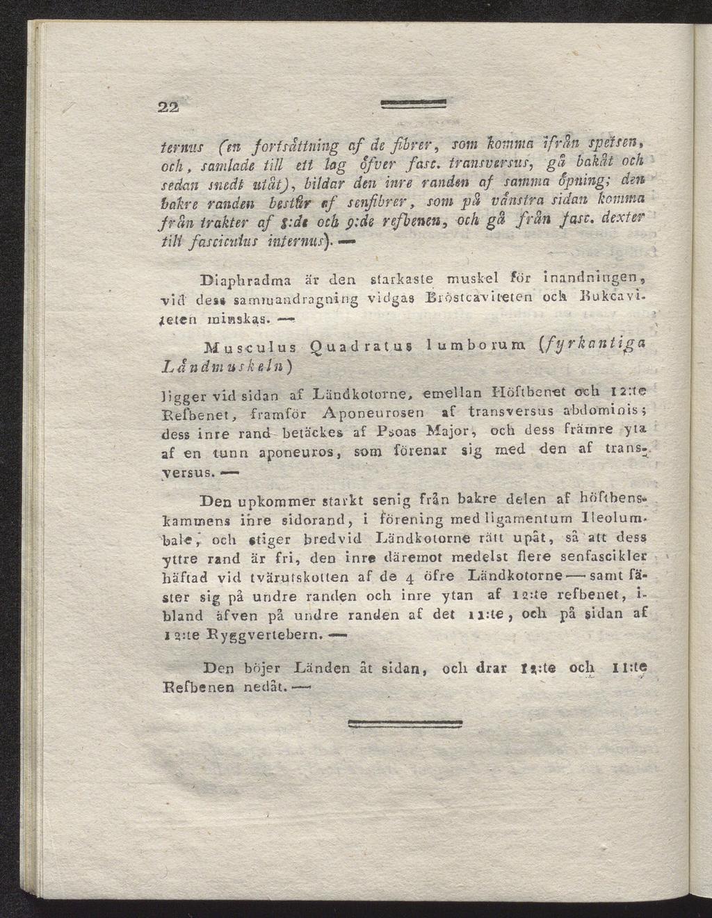 iemus fen förfsättning af de fibrer, som lomma ifrän spetsen, och, samlade till ett lag ofiver fasc.