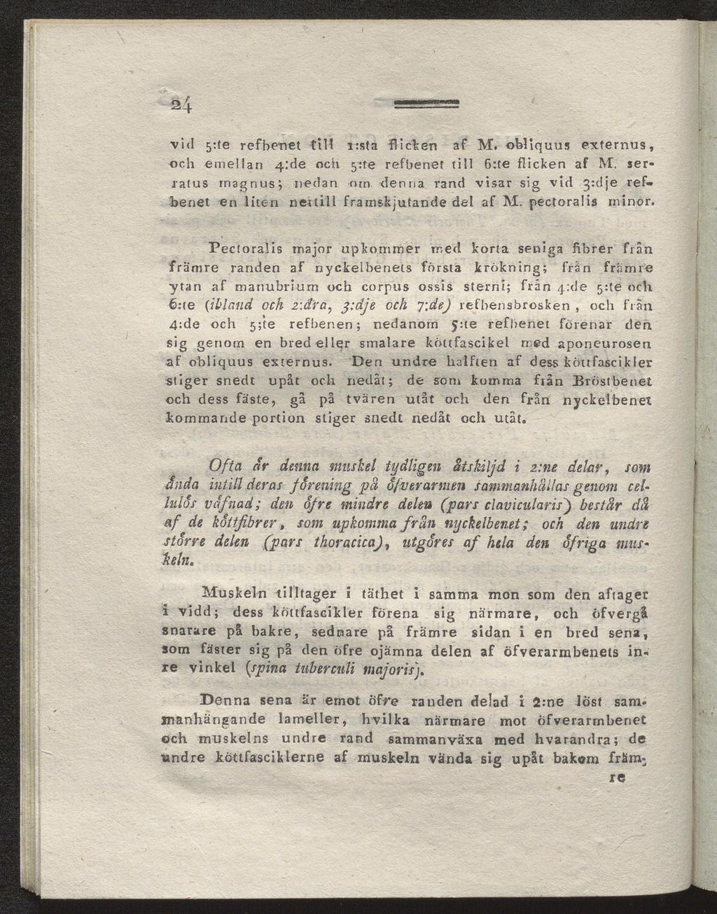 24 vid 5:te refbenet til! i:sta flicken af M. obllquus externus, och emellan 4.'de och yrte refbenet till 6:te flicken af M.