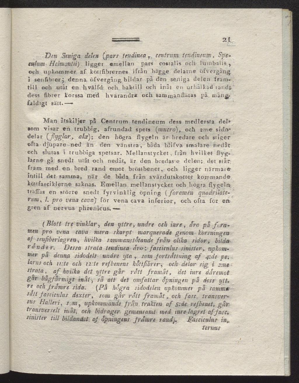 21 Dm Seniga delen (pars- tmdine.