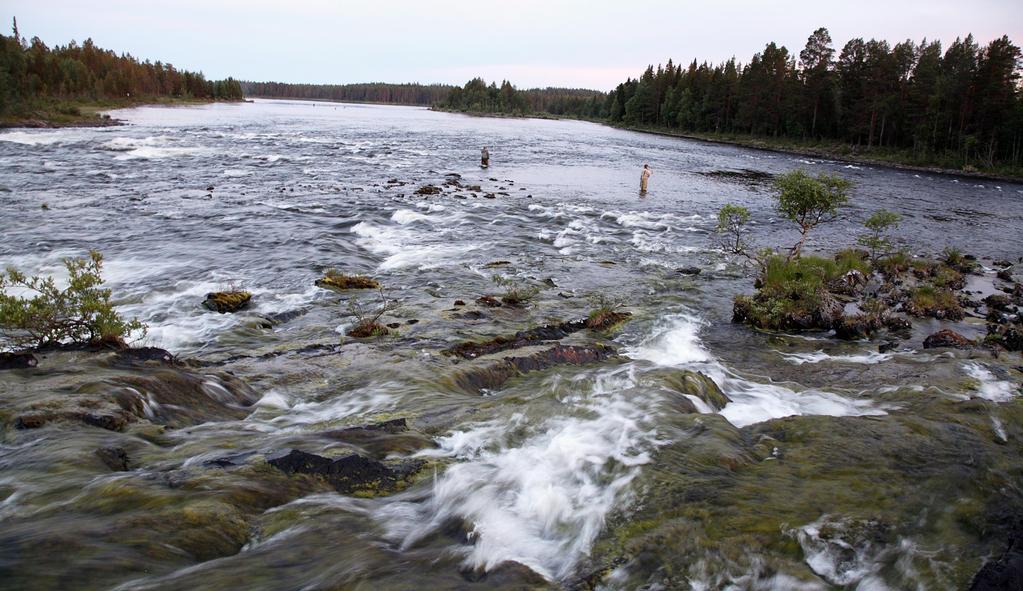 3. Främjande Medlem Fortsätta att öka medlemsantalet organiskt med 4-5 procent per år Förbättra samordningen med fiskekort.