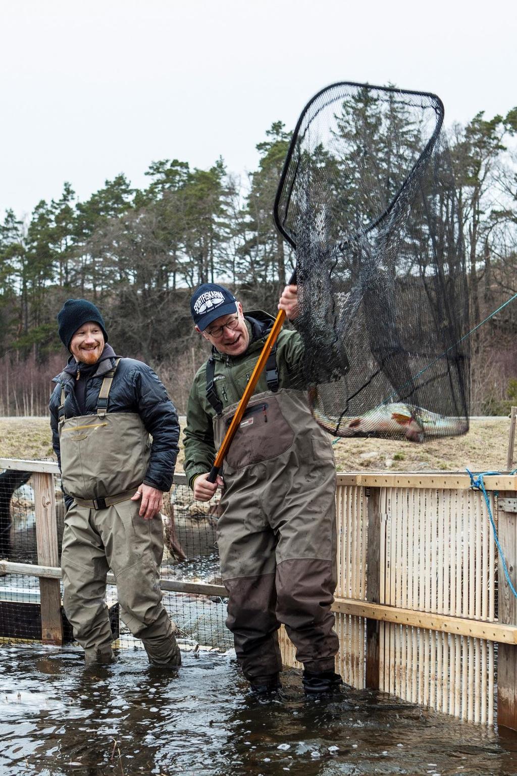 4. Fiskevård Rovfiskprojekten Genomföra konkreta fiskevårdsåtgärder med våra föreningar och med lokala och regionala intressenter Särskild fokus på insatser