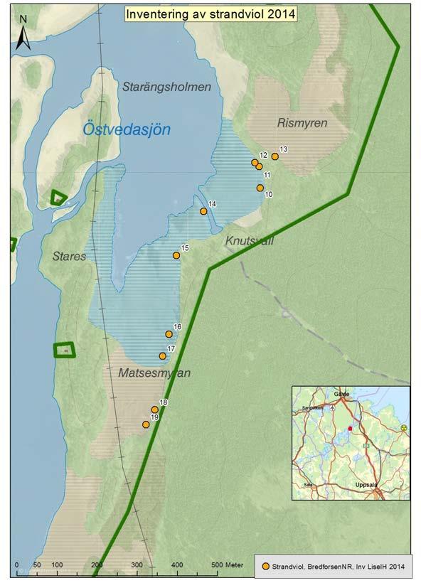 Betes som nu återinförts på Jörsön tycks ha en gynnsam inverkan på arten. Inventeringen utfördes i Bredforsens naturreservat, i Dalälven.