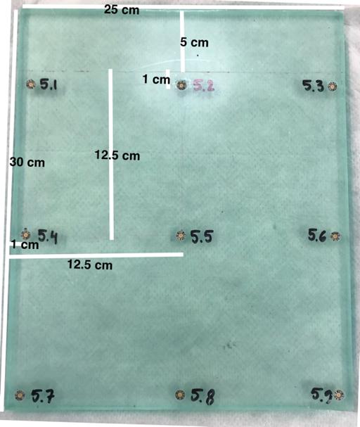 Figure 3.5: Numbering and coordinated of the dosimeters in the PMMA phantom.