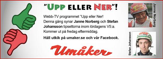 Åström AB, Umeå Krister Söderholm U 14/12-9 7/2140v 4 18,5a c c 19,36 10' Svart, blå hängslen och vitt lo fält; vit Krister Söderholm U 8/2-3 6/1640v 6 17,6 c c 30,91 25' Magnus A Djuse (Lena Åström)