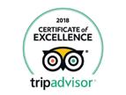 Operatör/Varumärke Antal rum Varumärke Privat/Best Western 103 Best Western Nordic Choice Hotels/Clarion Hotel 158 Nordic Choice Hotels Nordic Choice Hotels/Clarion Hotel 197 Nordic Choice Hotels