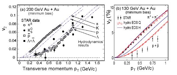 HIC: elliptic flow elliptic flow: v SAR, 00 GeV Au +Au dashed: hydro calculations, assuming: - early thermalization - ideal