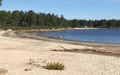 och fisk 99:- (Efter midsommar 120:-)
