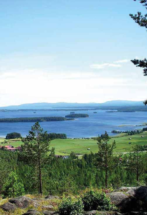 Strömbacka Brukslänga Café 1 juli - 11 augusti Kapell Bruksmuseum Utställning 4 Rum & kök 160 kv