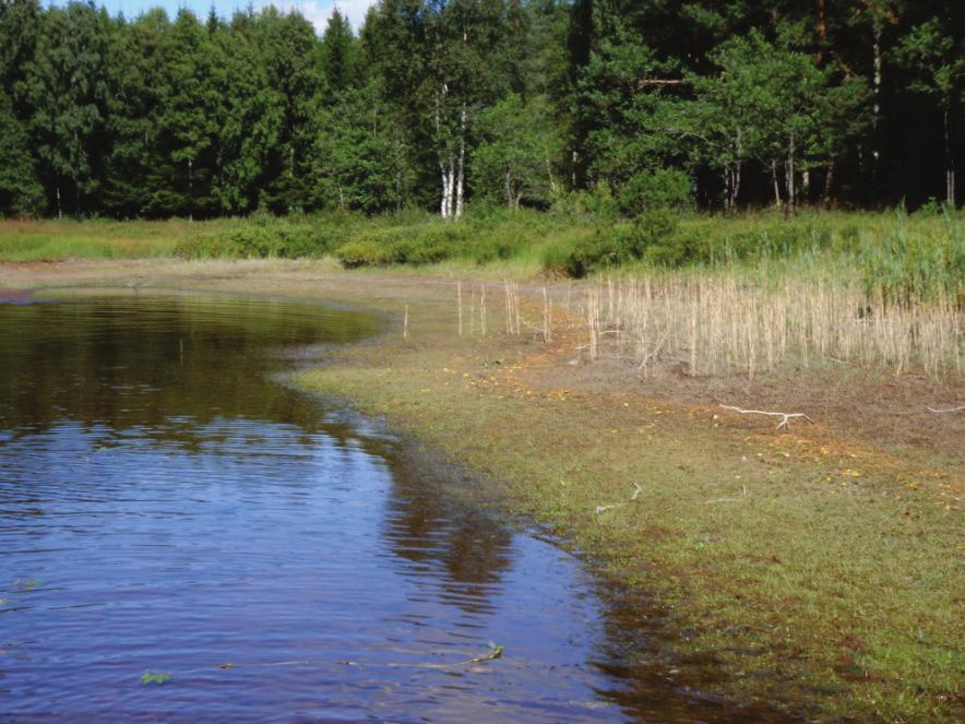 sjöar. De aktuella sjöarna borde dock ligga inom det intervall som ger lämpliga betingelser även för dessa arter.