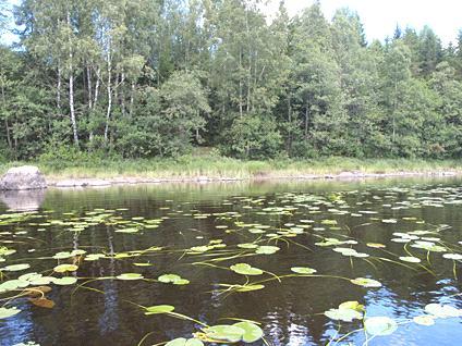 1. Såken 2011-08-15 Transekt nr: 4 Start koordinat (X/Y): 6395480/1339598 teknisk kontroll (SWEDAC) enligt svensk lag.