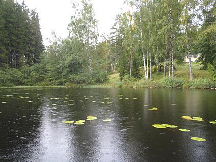 2. Frisjön 2011-09-01 Transekt nr: 6 Start koordinat (X/Y): 6387490/1329275 Styrelsen för ackreditering och teknisk kontroll (SWEDAC) enligt Foto svensk lag.