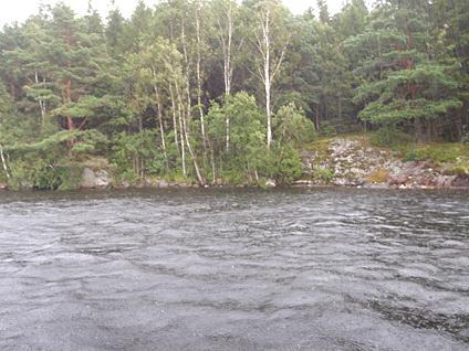 3. Stora Hålsjön 2011-08-10 Transekt nr: 3 Start koordinat (X/Y): 6386132/1310459 Styrelsen för ackreditering och Foto teknisk kontroll (SWEDAC) enligt Stopp koordinat (X/Y): 6386139/1310389 svensk