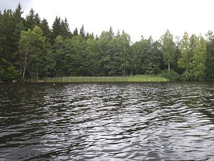 3. Stora Hålsjön 2011-08-11 Transekt nr: 7 Styrelsen för ackreditering och Start koordinat (X/Y): 6386691/1309612 teknisk kontroll (SWEDAC) enligt Foto Stopp koordinat (X/Y): 6386574/1309677 svensk