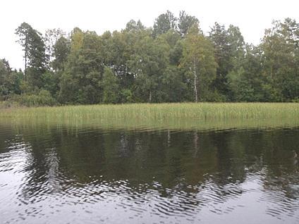 4. Tolken, Ulricehamn 2011-08-24 Transekt nr: 7 Styrelsen för ackreditering och Start koordinat (X/Y): 6406878/1346321 Foto teknisk kontroll (SWEDAC) enligt Stopp koordinat (X/Y): 6406944/1346162