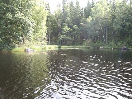 5. Storsjön, Viskafors 2011-08-10 Transekt nr: 2 Start koordinat (X/Y): 6387173/1312418 Foto Styrelsen för ackreditering och Stopp koordinat (X/Y): 6386949/1312413 teknisk kontroll (SWEDAC) enligt