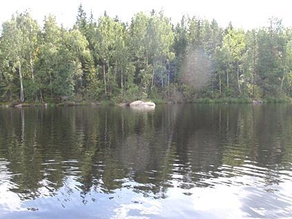 5. Storsjön, Viskafors 2011-08-10 Transekt nr: 3 Start koordinat (X/Y): 6386132/1310459 Styrelsen för ackreditering och Foto Stopp koordinat (X/Y): 6386139/1310389 teknisk kontroll (SWEDAC) enligt