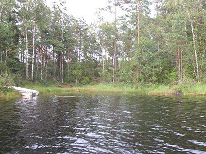 5. Storsjön, Viskafors 2011-08-11 Transekt nr: 6 Styrelsen för ackreditering och Start koordinat (X/Y): 6386453/1309937 Foto teknisk kontroll (SWEDAC) enligt Stopp koordinat (X/Y): 6386518/1309942