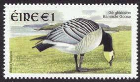 Gåsräkningar /Goose-counts Lars Gezelius och Bengt Andersson Under våren genomfördes två räkningar och under hösten åtta.