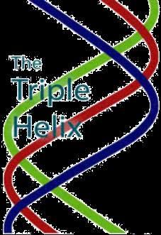 triadic relationship between university-industry-government in the Knowledge Society.