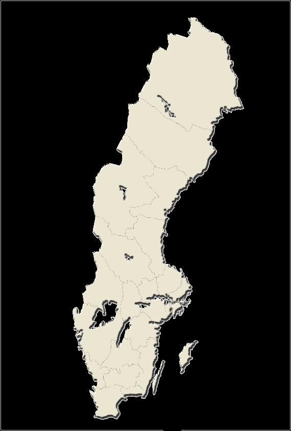 SVENSKA SKYDD - KEDJAN Stockholm Göteborg