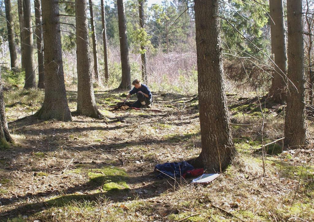 Svälte Frivillig arkeologisk utredning Svälte 1:4, Högås