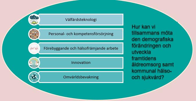 Det har inkommit några tankar kring utvecklingsområden till nätverkets handlingsplan. Bland annat har kommunal hälso- och sjukvård lagts till kring nätverkets namn.