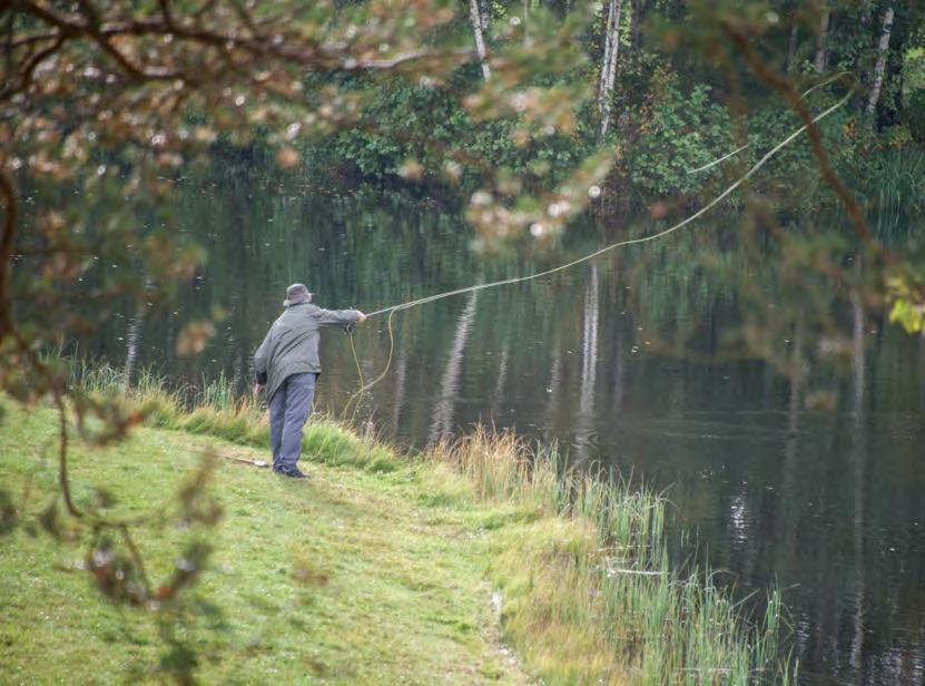 FISKETILLSYN FISKETILLSYNEN STÄRKER ÄNDAMÅLSENLIG FISKEVÅRD Fiskerättsägarna har huvudansvaret för fiskevården och fisketillsynen. Fiskevårdande regler blir meningsfulla endast om reglerna följs.