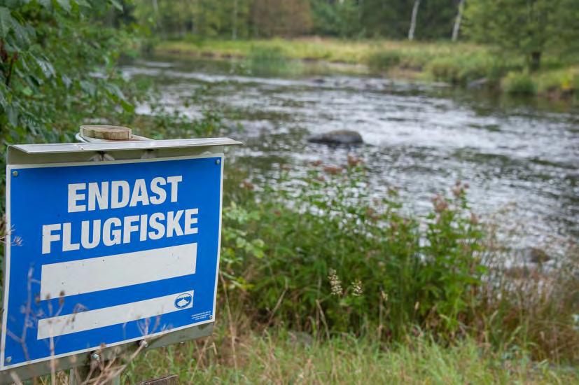 FISKETILLSYN Fiskeregler är en viktig del av fiskevården. En fiskevårdsområdesförening kan använda kontrollavgiften för att beivra egna fiskeregler. vården och fisketillsynen.