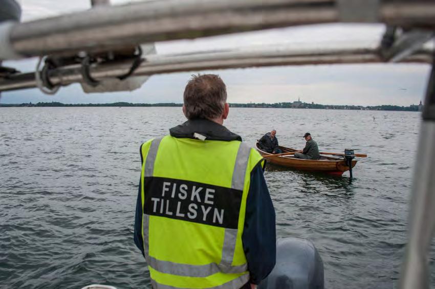 FISKETILLSYN I samband med att kontrollavgiften beslutas och införs kan det även vara lämpligt att se över både stadgar och gällande fiskeregler.