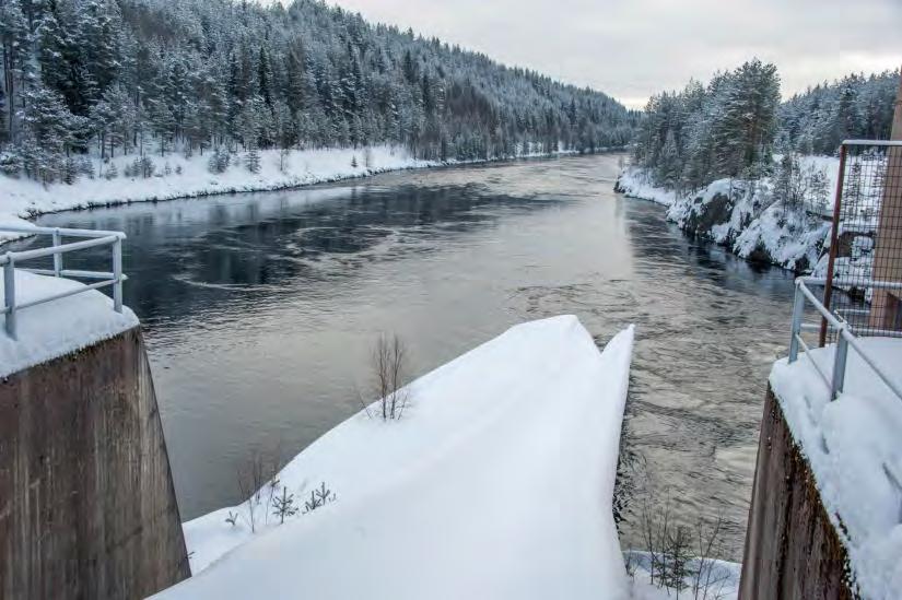 87 föreningar (45 procent) har tecknat ansvarsförsäkring, varav 66 föreningar i Jämtland (57 procent) och 21 föreningar i Östergötland (27 procent).