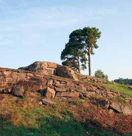 sights of interest Fornlämningar Ancient remains EDSBONDENS FORNBORG Slottsbron Rester av en forntida förskansning. Edsbonden ligger högt med en fin utsikt över Åsfjorden i Vänern.