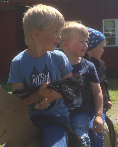 Sommarhälsningar från Barnverksamheten Barnverksamheten har haft sommarlov, men en utflykt till ett soligt Ystad djurpark hann vi med innan uppehållet.