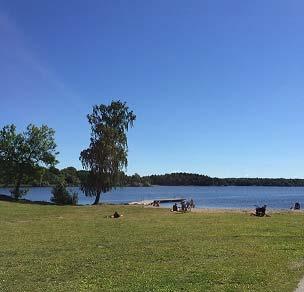 fauna. Inom avrinningsområdet finns det tre naturreservat; Trångsundsskogens och Drevvikens naturreservat i Huddinge samt delar av Flatens naturreservat i Stockholm.