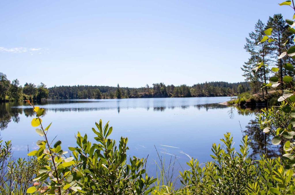 Naturnära vandring på BOHUSLEDEN Bohusleden är en vandringsled som med sina 37 mil sträcker sig från Lindome i söder till Strömstad i norr.
