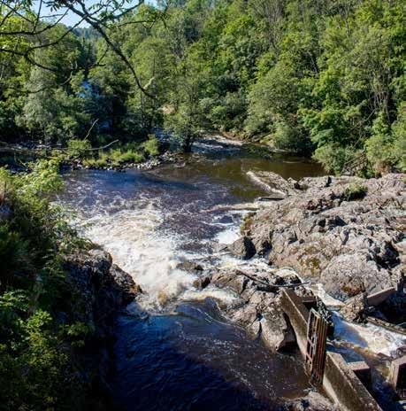 Delar av fjället är naturreservat och ingår i EU:s ekologiska nätverk av skyddade områden, Natura 2000 och förvaltas av Västkuststiftelsen.