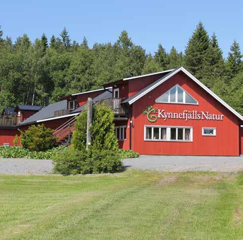 Lersjön strax öster om Hedekas i Sörbygden På Kynnefjäll finns markerade vandringsleder och med ett fiskekort kan du fiska i utvalda sjöar.